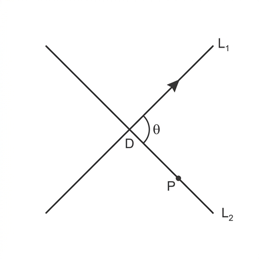 Diagram showing two intersecting lines L1 and L2, with point D at the intersection and point P on L2