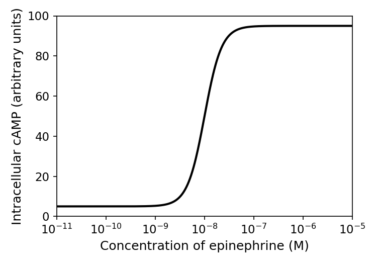 Semi-logarithmic line graph showing concentration of epinephrine (M) on the logarithmic x-axis (from $10^{-11}$ to $10^{-5}$) versus intracellular cAMP concentration (arbitrary units) on the linear y-axis (from 0 to 100). The curve remains at a basal level of 5 units until $10^{-9}$ M, rises sharply between $10^{-9}$ M and $10^{-7}$ M to reach approximately 95 units, and remains flat up to $10^{-5}$ M.