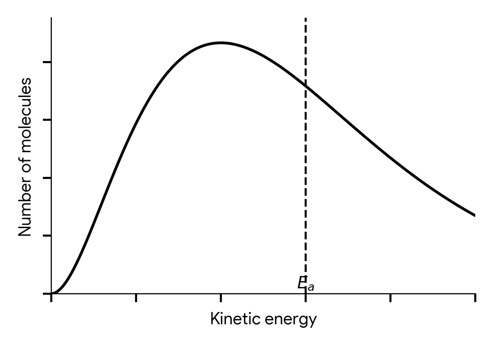 Maxwell-Boltzmann distribution curve shifted to the left with a higher peak, with a new, lower activation energy E_a,cat marked
