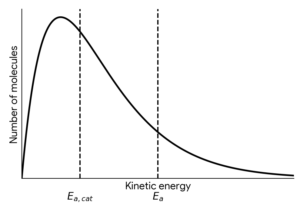 Original Maxwell-Boltzmann distribution curve, with the original Ea marked and a new, lower activation energy E_a,cat marked to its left