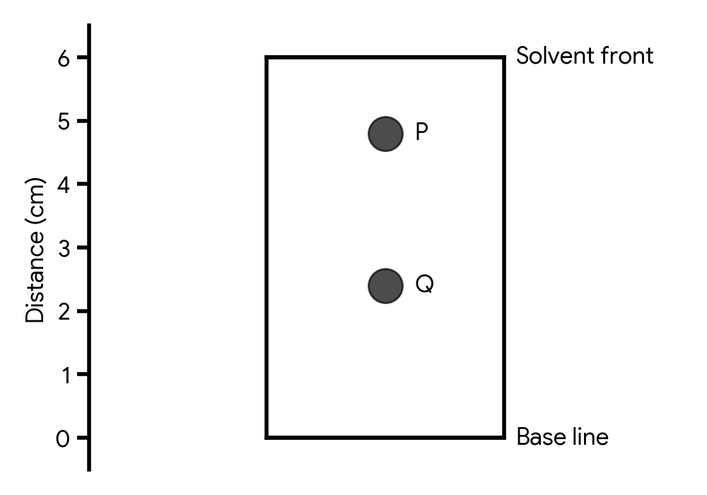 Thin-layer chromatogram showing a solvent front at 6.0 cm, a base line at 0 cm, and two spots labeled P and Q. Spot P is at 4.8 cm and spot Q is at 2.4 cm.