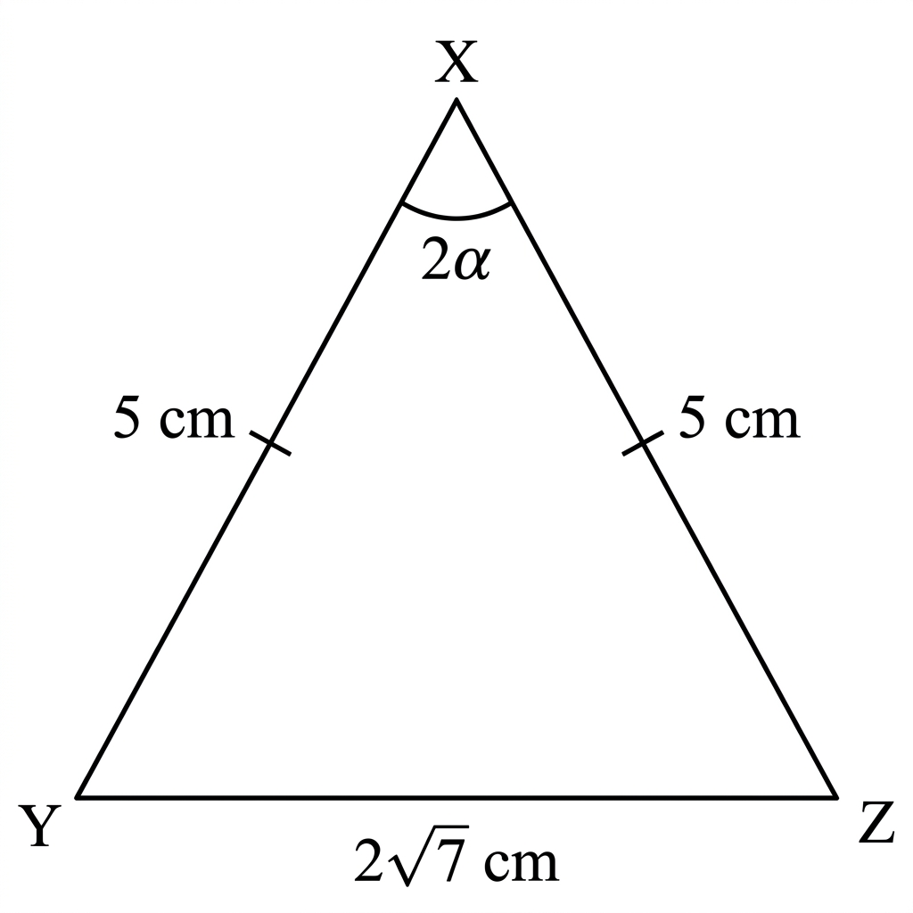 Diagram of an isosceles triangle XYZ with vertex X at the top. Sides XY and XZ are marked as 5cm. The base YZ is marked as 2*sqrt(7) cm. The angle at vertex X, YXZ, is marked as 2*alpha.