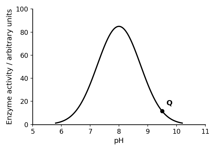 Graph showing enzyme activity on the y-axis and pH on the x-axis. The curve is bell-shaped, starting near zero activity at pH 6, rising to a peak at pH 8, and falling back towards zero at pH 10. A point labelled Q is on the falling part of the curve, at approximately pH 9.5.
