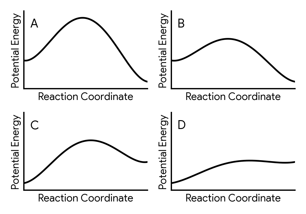 Four potential energy profile diagrams labelled A, B, C, and D. All have Potential Energy on the y-axis and Reaction Coordinate on the x-axis. A: Reactants are at a higher energy level than products. There is a large activation energy barrier. B: Reactants are at a higher energy level than products. There is a small activation energy barrier. C: Reactants are at a lower energy level than products. There is a large activation energy barrier. D: Reactants are at a lower energy level than products. There is a small activation energy barrier.
