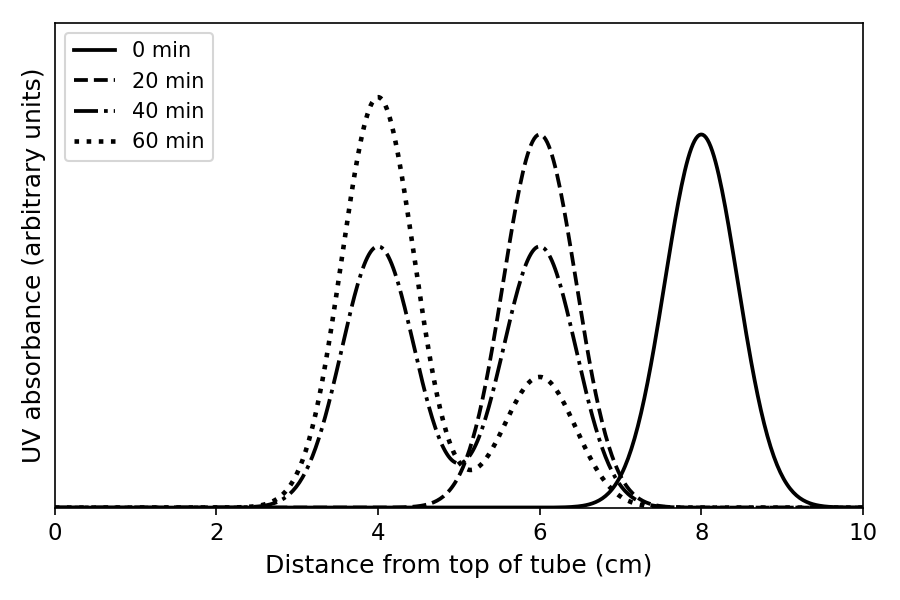 Graph showing distance from top of tube (cm) on the x-axis, from 0 to 10, against UV absorbance on the y-axis. Traces are shown for 0, 20, 40, and 60 minutes. The 0 min curve has a single peak at 8 cm. The 20 min curve has a single peak at 6 cm. The 40 min curve has two peaks of equal height at 4 cm and 6 cm. The 60 min curve has a small peak at 6 cm and a very large peak at 4 cm.