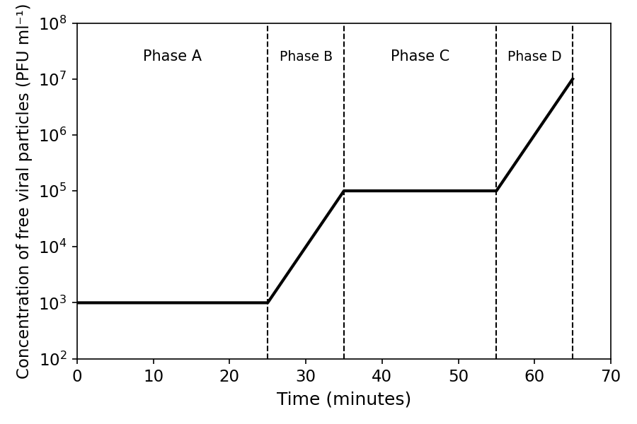 Graph showing the concentration of free bacteriophage lambda particles (PFU ml⁻¹) on a logarithmic scale against time (minutes). The curve has four distinct phases: Phase A from 0 to 25 minutes is a flat horizontal line at 10³; Phase B from 25 to 35 minutes is a rapid rise from 10³ to 10⁵; Phase C from 35 to 55 minutes is a flat horizontal line at 10⁵; Phase D from 55 to 65 minutes is a rapid rise from 10⁵ to 10⁷.