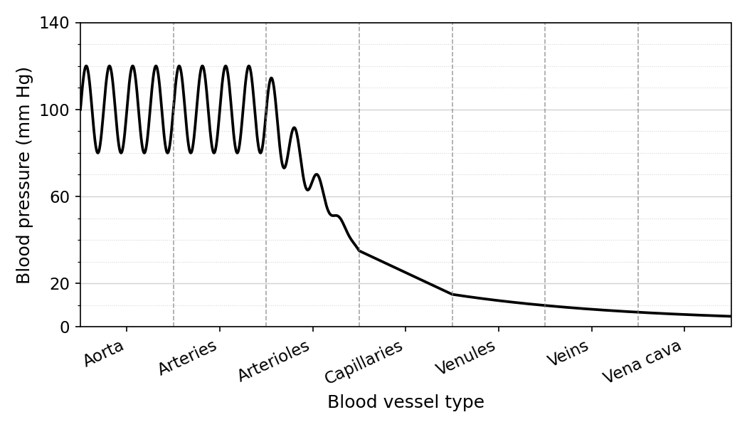 A line graph showing blood pressure on the y-axis in mm Hg and blood vessels on the x-axis. The x-axis is labeled, in order: Aorta, Arteries, Arterioles, Capillaries, Venules, Veins, Vena Cava. In the aorta and arteries, the pressure fluctuates rapidly between a systolic peak of approximately 120 mm Hg and a diastolic trough of 80 mm Hg. In the arterioles, the pressure drops steeply and the fluctuations smooth out, reaching about 35 mm Hg. In the capillaries, pressure drops steadily from 35 to 15 mm Hg. In the venules, veins, and vena cava, the pressure continues to drop gently from 15 mm Hg down to near 0 mm Hg, with no fluctuations.
