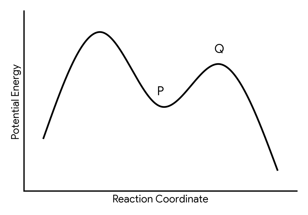 Energy profile diagram for the SN1 hydrolysis of (CH3)3CCl. The y-axis is Potential Energy and the x-axis is Reaction Coordinate. The reactants, (CH3)3CCl + H2O, are at a certain energy level. The curve rises to a first transition state, then drops to a local minimum labelled P. The curve then rises again to a second transition state labelled Q, and finally drops to the products.